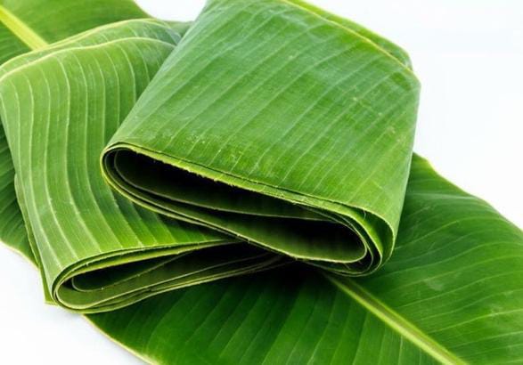 Banana Leaves