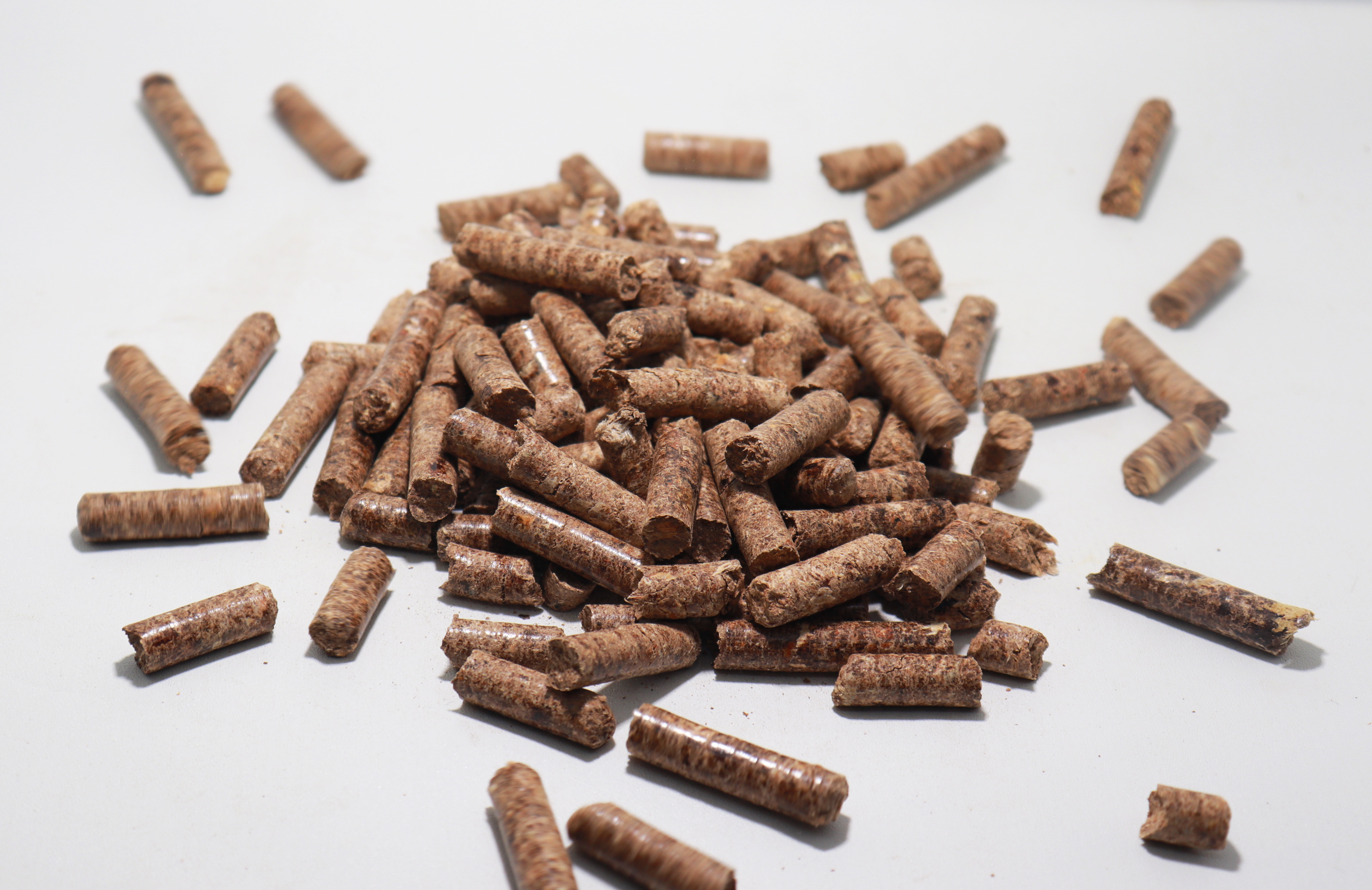 Wood Pellet